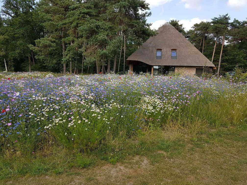 Landschapstuin | Mols Tuinen